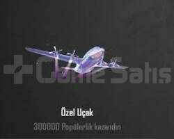 Özel Uçak