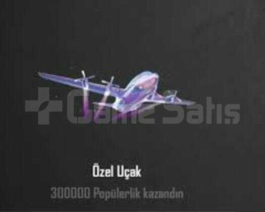 Özel Uçak