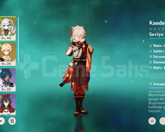 Ei + Kazuha + Nahida + Mona + Jean + Qiqi Ar21