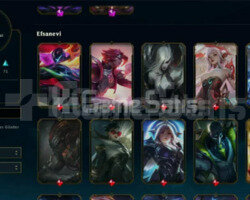 TR EUW / 40-120 LVL / 15-125 ARASI KOSTÜM AÇIKLAMA