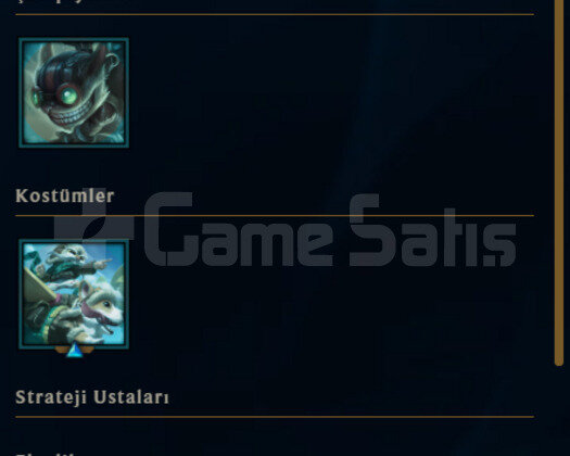 TR PLATİN 2 19 KOSTUM HESAP