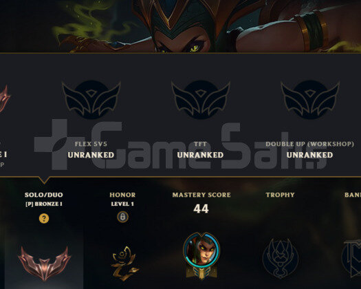 BRONZ1 37 SEVİYE SAĞLAM HESAP