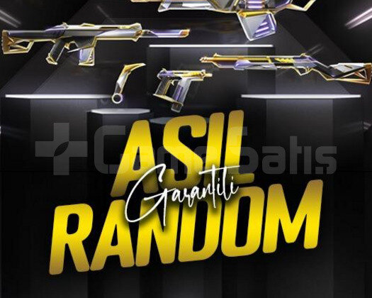 TR ASİL SKİN GARANTİLİ VIP+ RANDOM HESAPLAR