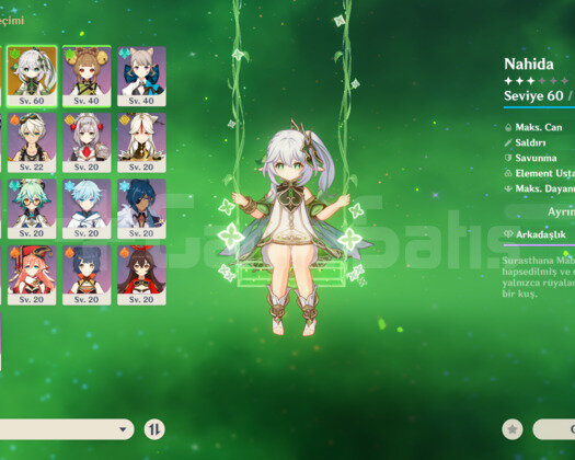 Rank 36 Nahida + Kazuha + 118 Yazgı taşı