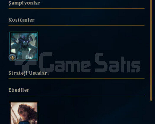 TR ZÜMRÜT 3 8 KOSTUM 33K MAVİ ÖZLÜ HESAP