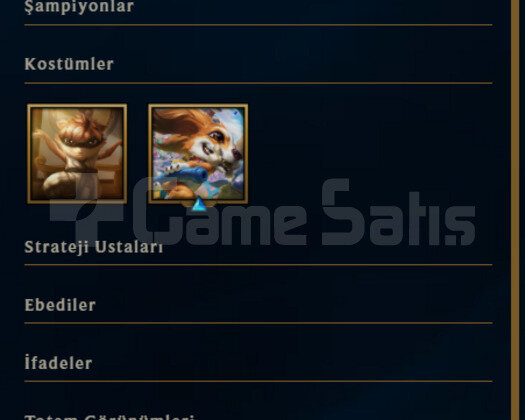 TR ZÜMRÜT 4 67 WR HESAP