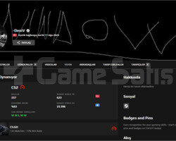 Faceit 10 lvl 2303 elo- İlk mailli