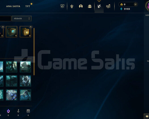 El ile kasılmış 30 level unranked hesap