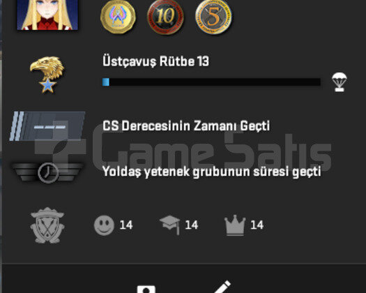 3 MADALYA CSGO SEÇKİN HESAP