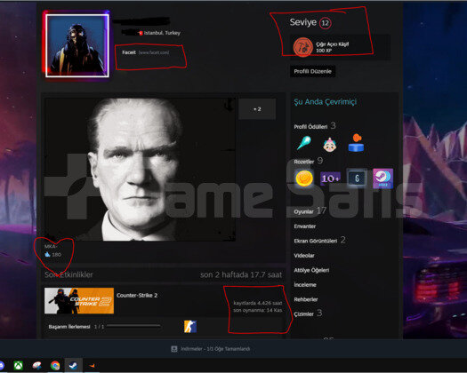 Faceit 10 Level- 7 Madalyalı