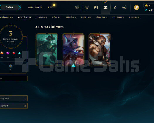 TR Diamond 2 53 WR HESAP  3 KOSTÜM