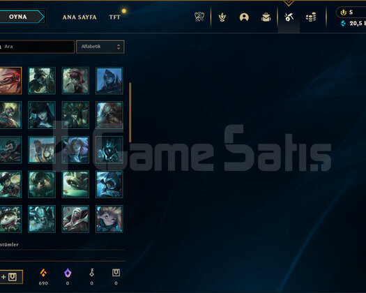 EUW HANDMADE GANİMETİ BOL HESAP