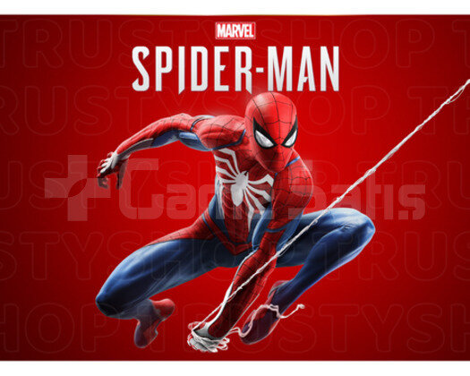 Marvels Spider-Man Remastered & Ömür Boyu Garanti