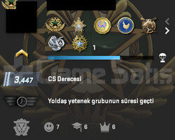 8 MADALYALI & 270 TL CS2 ENVANTER & 85 TL STEAM BA