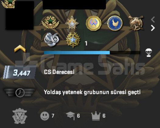 8 MADALYALI & 270 TL CS2 ENVANTER & 85 TL STEAM BA