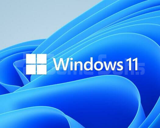 WİNDOWS 11 PRO KEY & ANINDA TESLİM