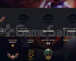 BRONZ2 37 SEVİYE DJ SONALI HESAP