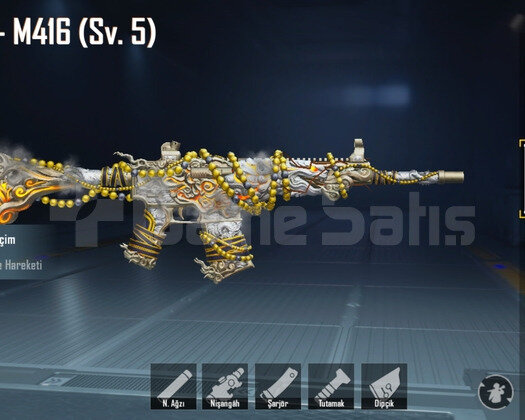 4 MUMYALI M416 5 SEVİYE FULL + FULL HESAP
