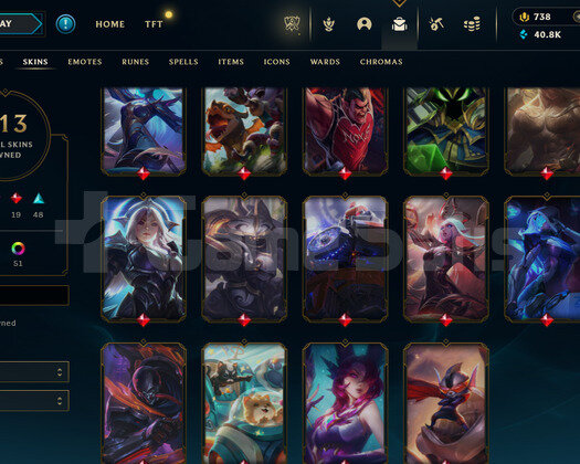 EUW 314 LEVEL - 116 HERO 113 KOSTÜM HANDMADE