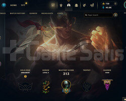 EUW 314 LEVEL - 116 HERO 113 KOSTÜM HANDMADE