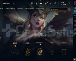 30 LVL 41.000 MAVİ ÖZ UNRANKED HESAP UYGUN FİYAT!