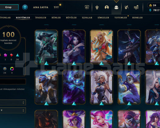 100 KOSTÜM / ELLE KASILMIŞ / 137 LEVEL