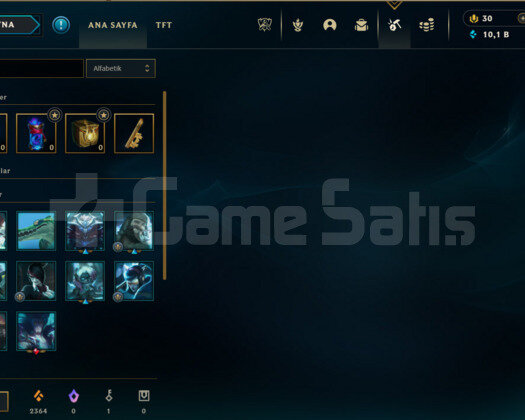 TR PLAT1 16LP GANİMETİ DOLU