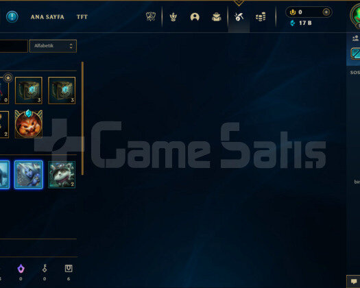 106 LEVEL BRONZ1 TR hesap