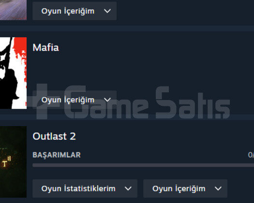ETS2,OUTLAST 2,THE FOREST HESAP SEVİYESİ 11