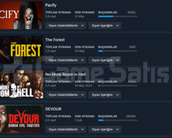 ETS2,OUTLAST 2,THE FOREST HESAP SEVİYESİ 11