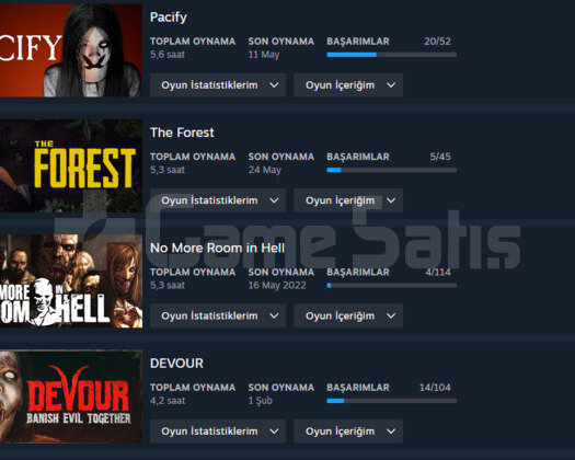 ETS2,OUTLAST 2,THE FOREST HESAP SEVİYESİ 11