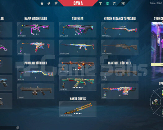 RGX KELEBEK/EJDER BUYRUK/RADIANT E-POSTA HESAP