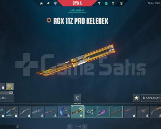 RGX KELEBEK/EJDER BUYRUK/RADIANT E-POSTA HESAP