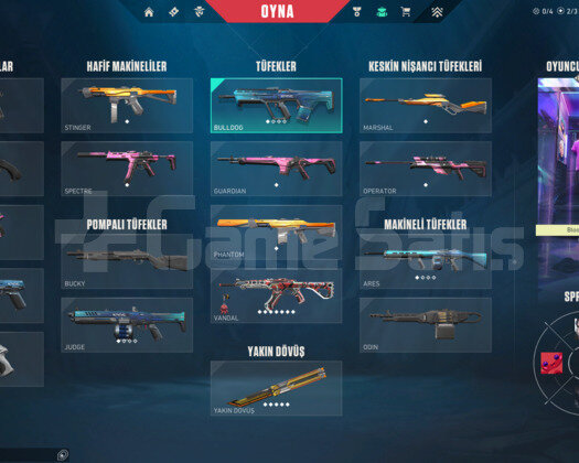 RGX PRO KELEBEK/YAĞMACI/DELİPOP E-POSTA HESAP