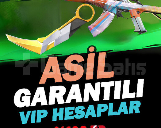 TR ASİL GARANTİLİ HESAPLAR VIP+