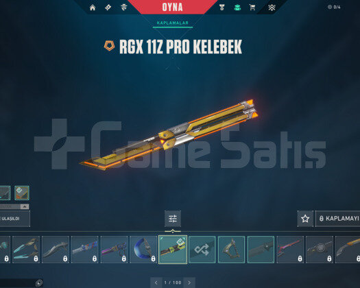 RGX PRO KELEBEK/YAĞMACI/SERİ TETİK E-POSTA HESAP