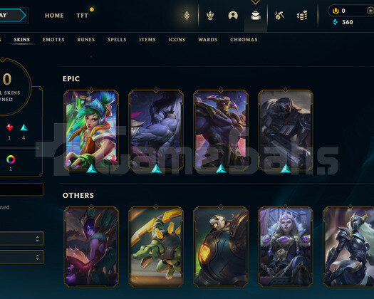 EUW Unranked | 10 Kostüm - 41 Hero | Handmade