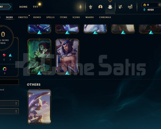 EUW Plat 4 | 10 Kostüm - 44 Hero | LoL Hesap