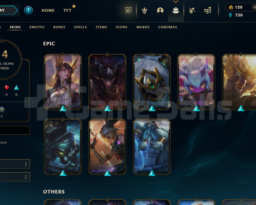 TR Plat 4 | 14 Kostüm - 47 Hero | LoL Hesap