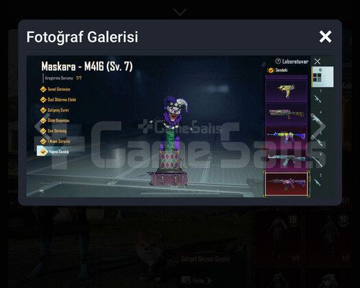 Fulll maskaralı hesap