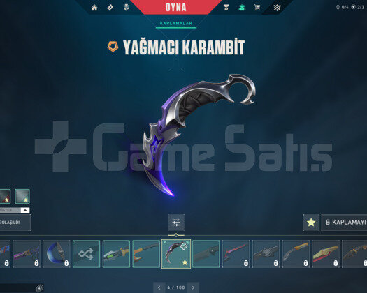 YAĞMACI KARAMBİT/İYON/SARMAL/ASİL E-POSTA HESAP