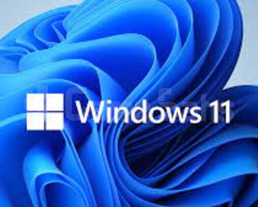 WİNDOWS 11 PRO KEY & ANINDA TESLİM