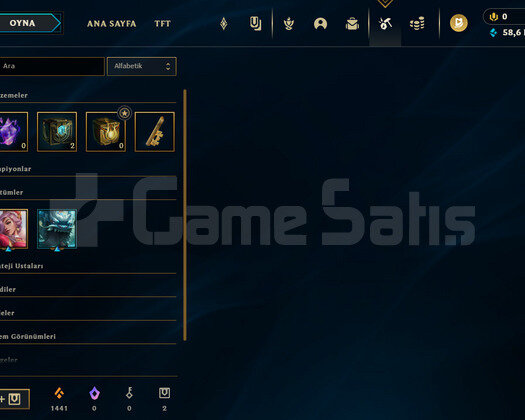 / TR / ZÜMRÜT 2 / 2 KOSTÜM / SMURF HESAP /