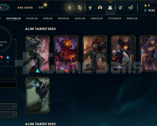 30 level ranksız temiz hesap bot hesap değildir