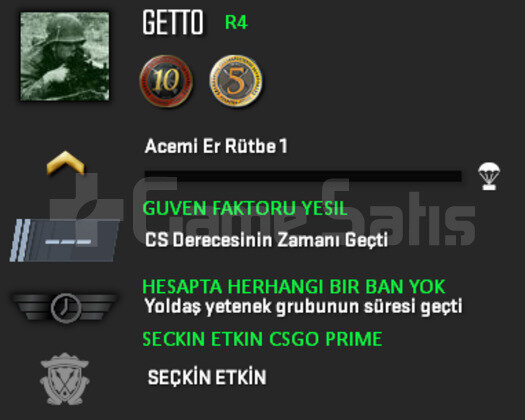 10 + 5 YIL JETONLU YEŞİL FAKTÖR CSGO PRİME HESAP