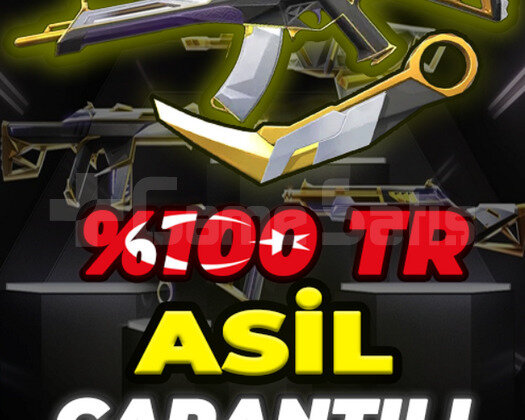 TR ASİL DESENİ GARANTİLİ VIP+ HESAPLAR