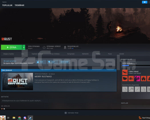 RUST STEAM HESABI