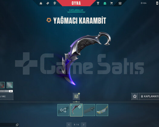 YAĞMACI VE ASİL KARAMBİT/KAOS E-POSTA HESAP