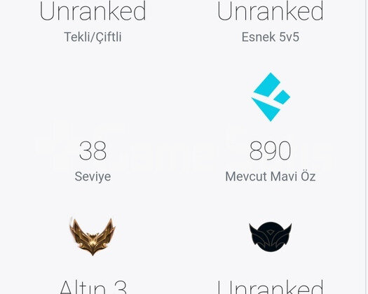 TR HANDMADE UNRANKED