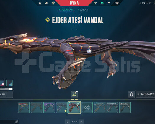 RGX PRO KELEBEK/YAĞMACI/EJDER/ONİ E-POSTA HESAP